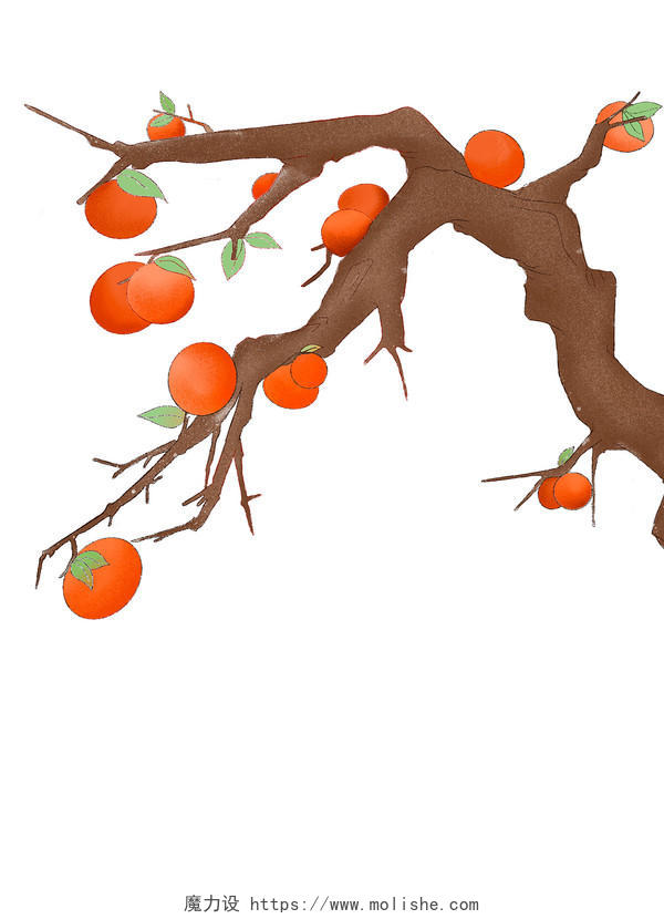 红色手绘卡通柿子霜降树枝树干PNG素材
